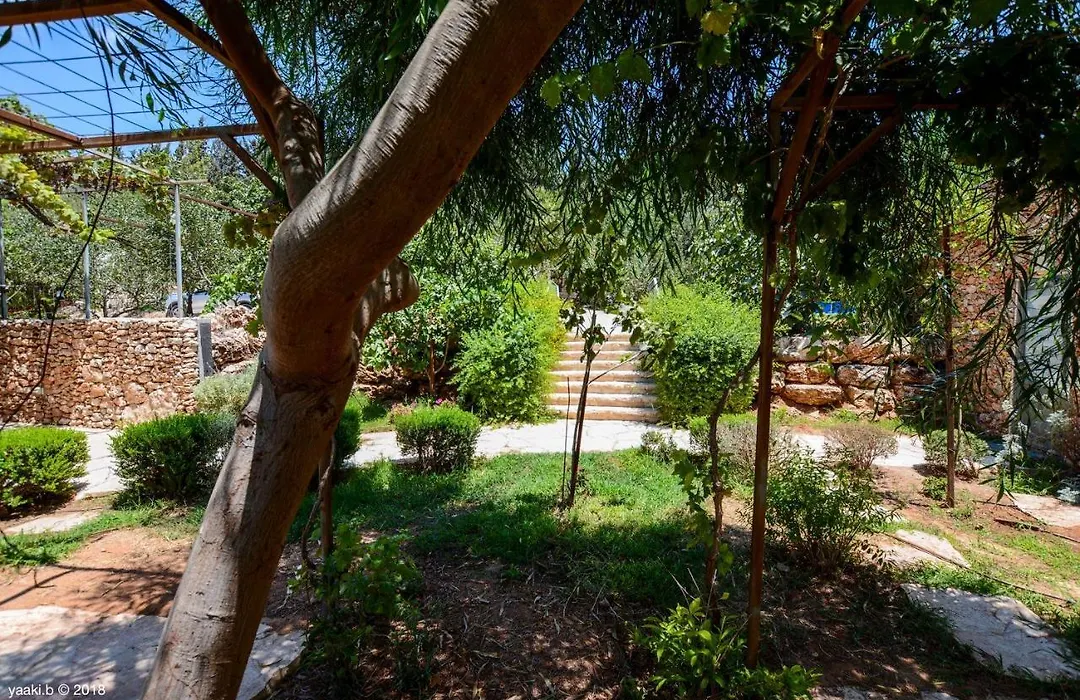 Tur Sinai Organic Farm Resort-1