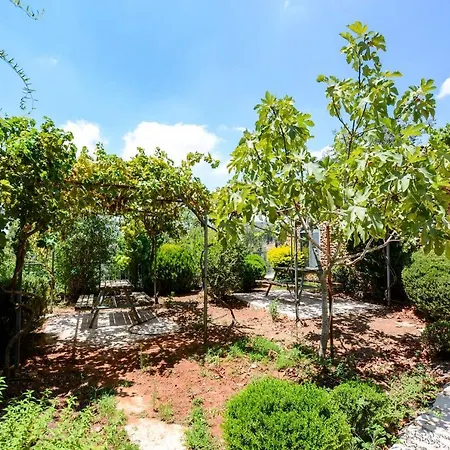 Tur Sinai Organic Farm Resort-3